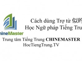Trợ từ 似的 trong Tiếng Trung