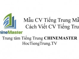 Mẫu CV xin việc Tiếng Trung mẫu 1