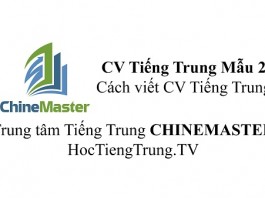 Mẫu CV Xin việc Tiếng Trung Mẫu 2