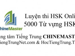 Luyện thi HSK Online Cấp 1 Từ vựng Tiếng Trung HSK 1, WEB Luyện thi HSK Online, Tiếng Trung HSK Thầy Vũ, 5000 Từ vựng Tiếng Trung HSK 6