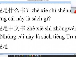Giáo trình trung tâm tiếng Trung Quận Thanh Xuân bài 1 trung tâm tiếng Trung Thầy Vũ tphcm